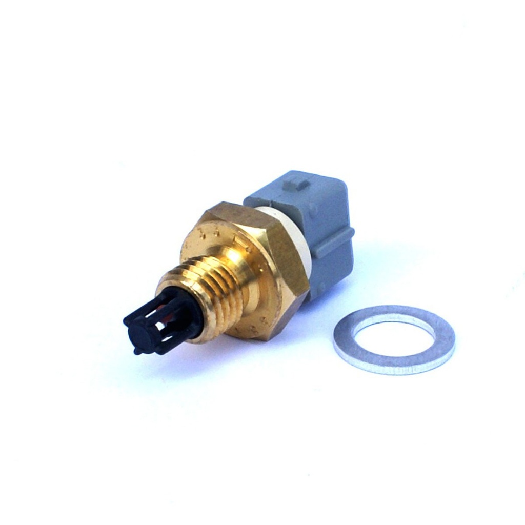 Intake Air Temperature Sensor (IAT)